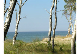 Балтийское море, Куршская коса